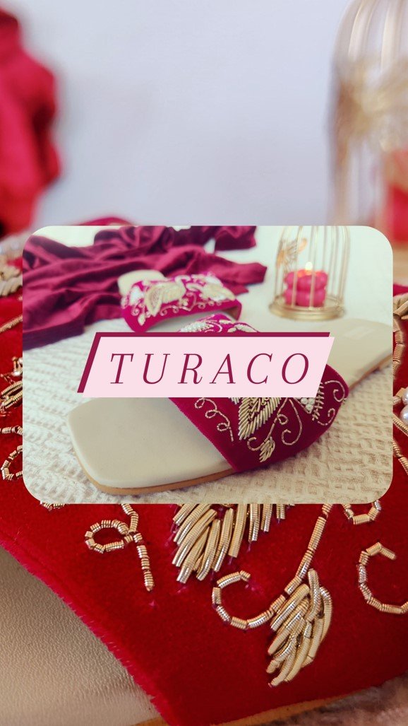 turaco